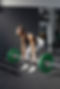 nikerfitness6.jpg