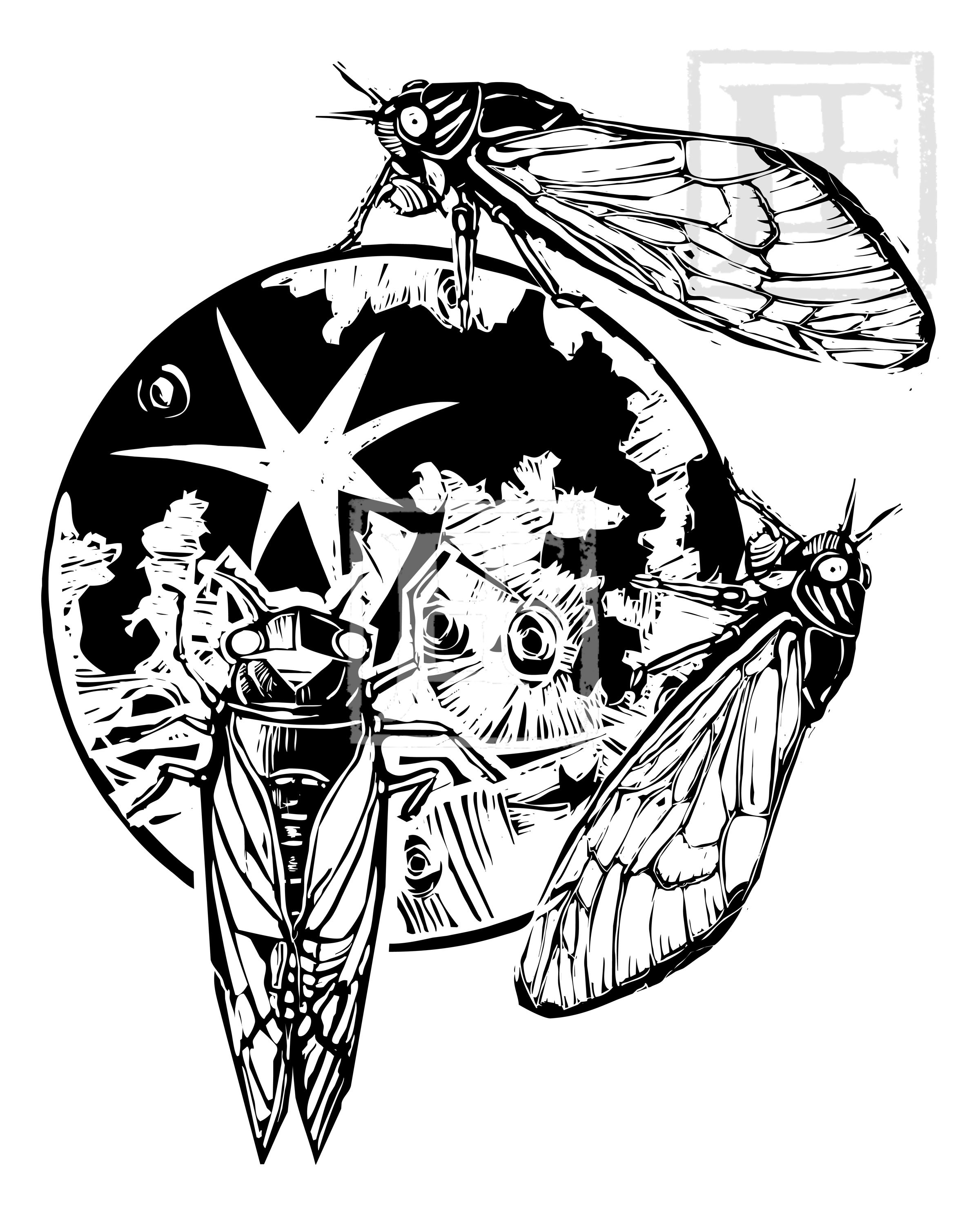 Woodcut cicadas on the moon