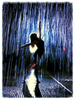 The Rain Room - M.O.M.A.