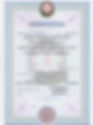 POLATOGLU CONSTRUCTION LICENCE