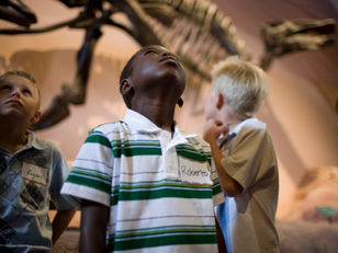 Free Online Activities & Resources For Kids From Popular Museums!