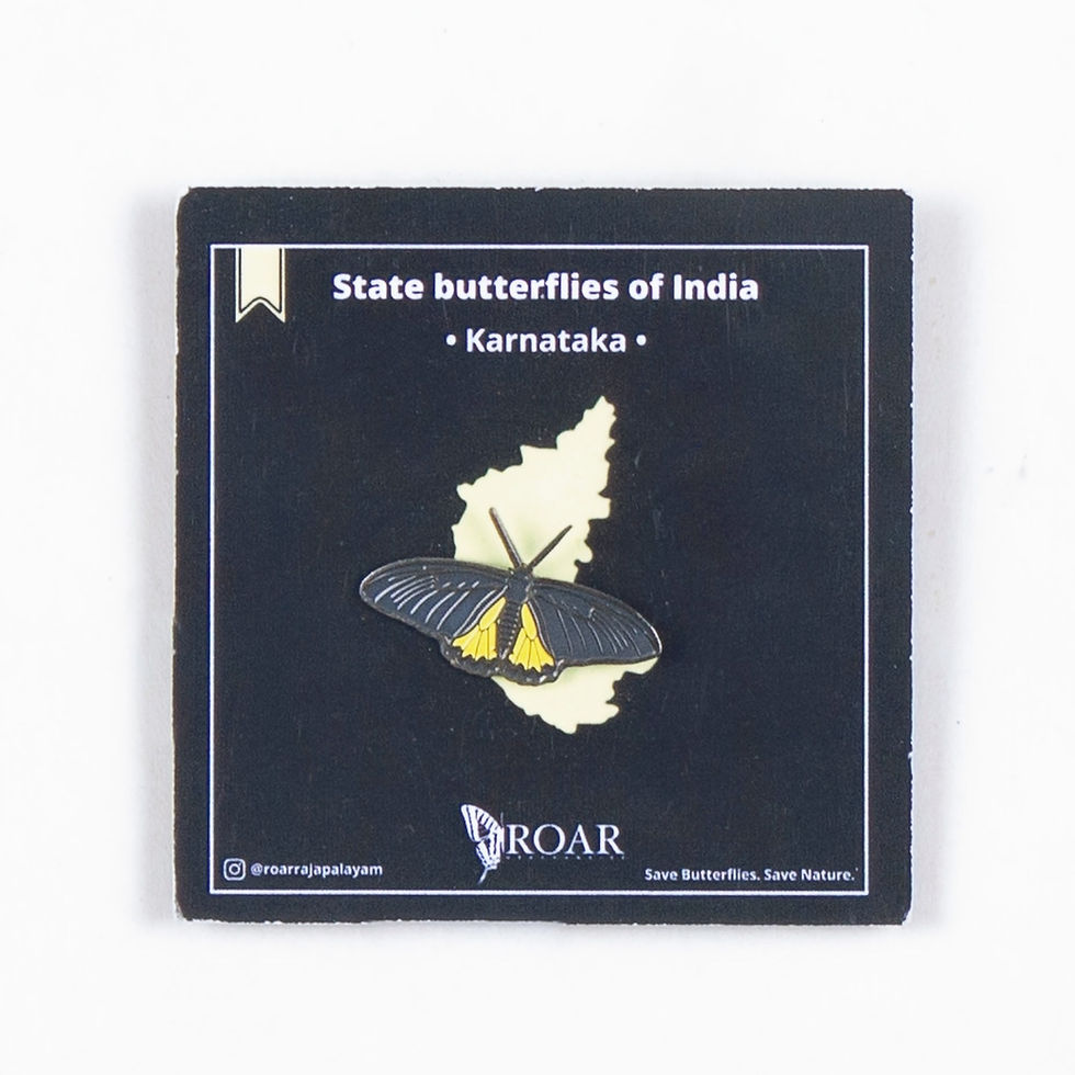 Thumbnail: Butterfly enamel pin