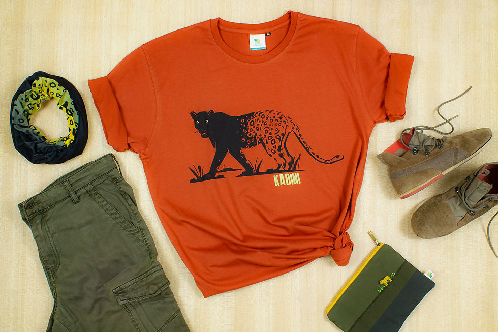 Thumbnail: Kabini, T-shirt