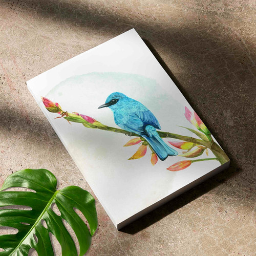 All about Blue Notebook | PashooPakshee