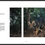 Thumbnail: Tiger Tiger Burning Bright