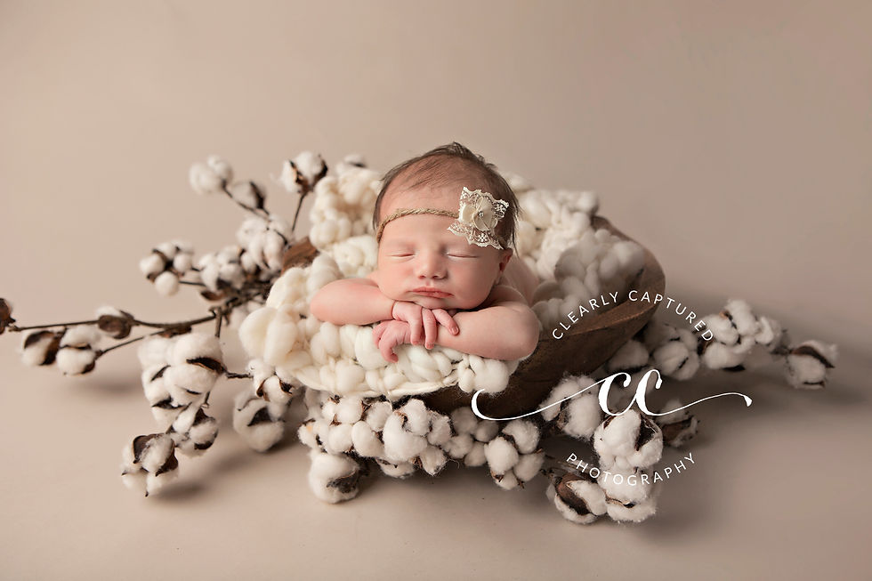 amarillo newborn photos