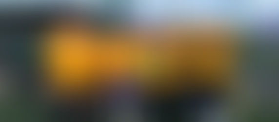 Christmas Won’t Be The Same This Year*