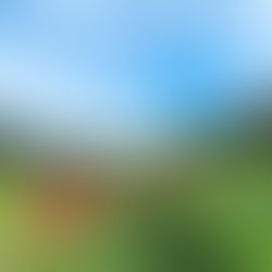 9/28カフェ営業日