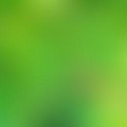 本日5/25カフェ営業日