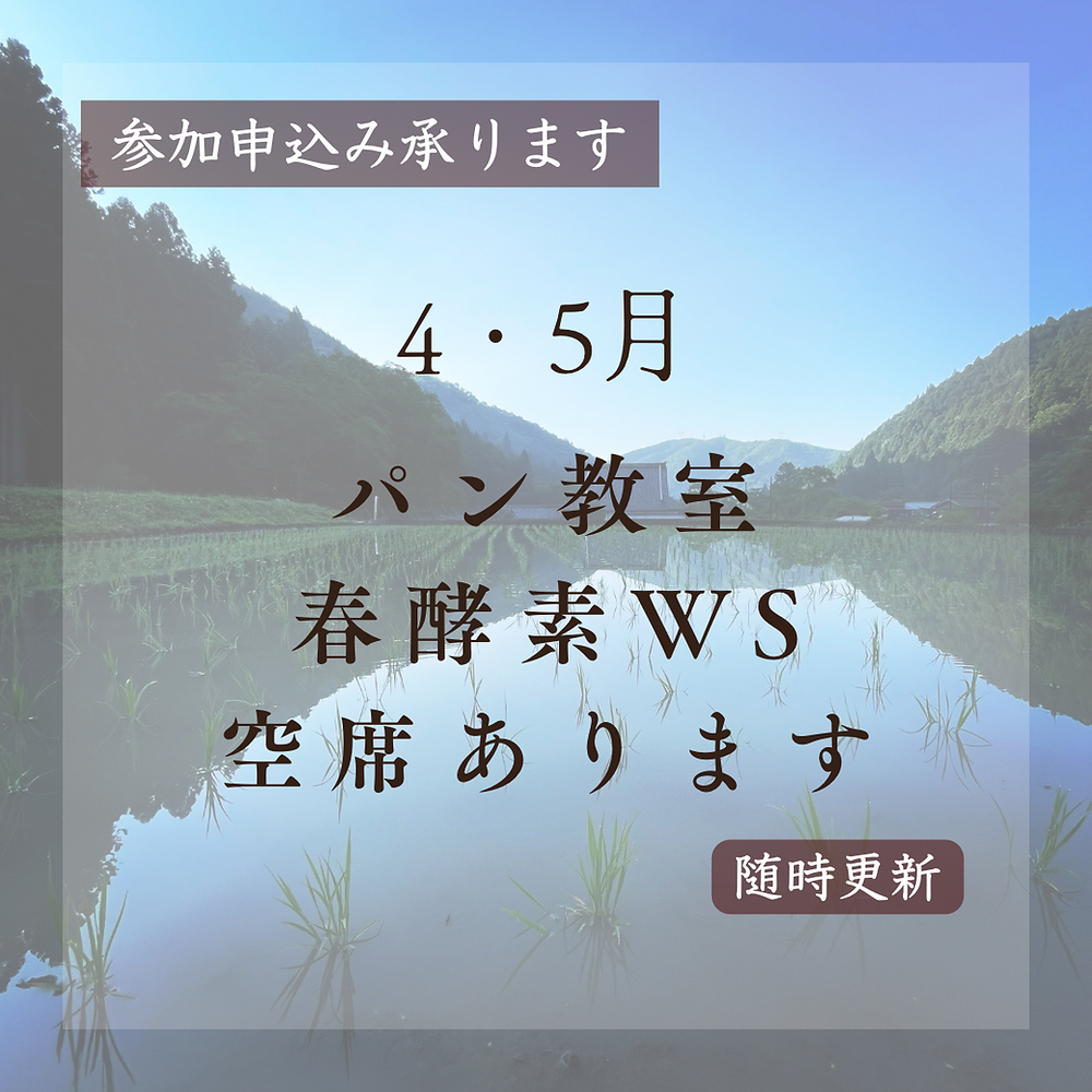 4・5月パン教室&春酵素WSの外観