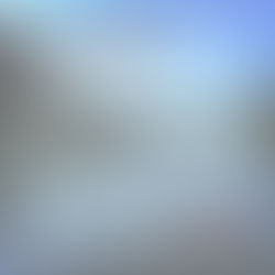 4・5月パン教室&春酵素WS