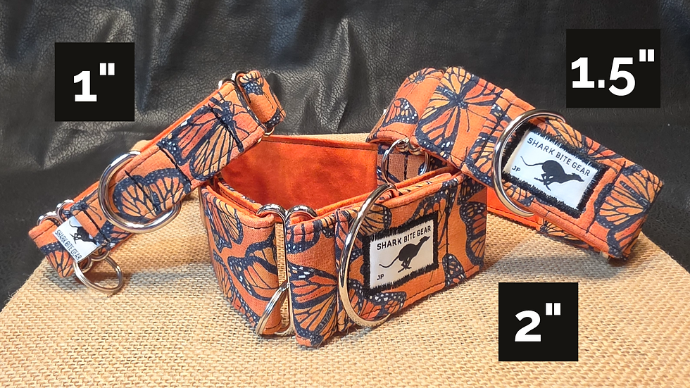Thumbnail: Monarch Orange