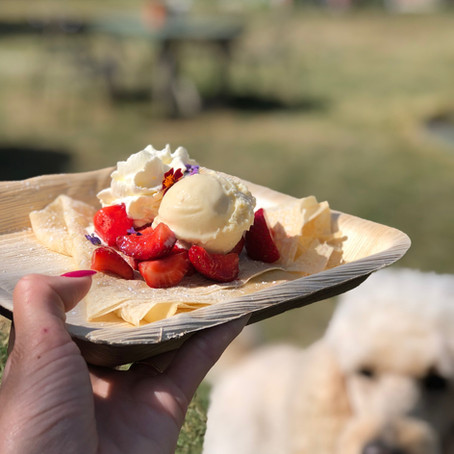 10 Eateries On the Northern Part of Gotland, Sweden
