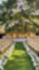 Dreamy Outdoor Wedding Under a Canopy of Greenery.jpeg