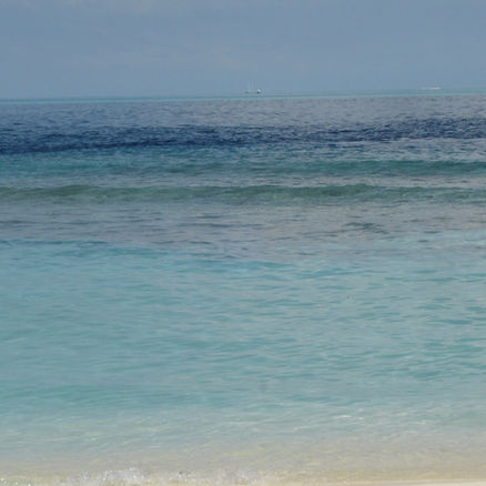 DSC02785.JPG