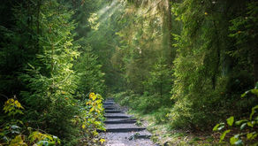 A Grounding in purpose
