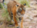 Noor's%2520daughter_edited_edited.png