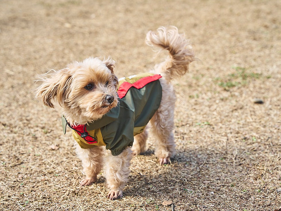 Thumbnail: SP Dog Rain Guard DM Amenity Dome