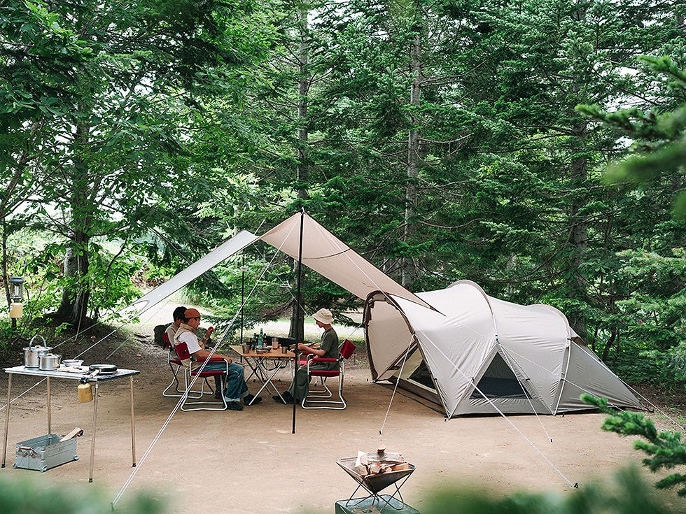 Thumbnail: Land Nest Dome Medium