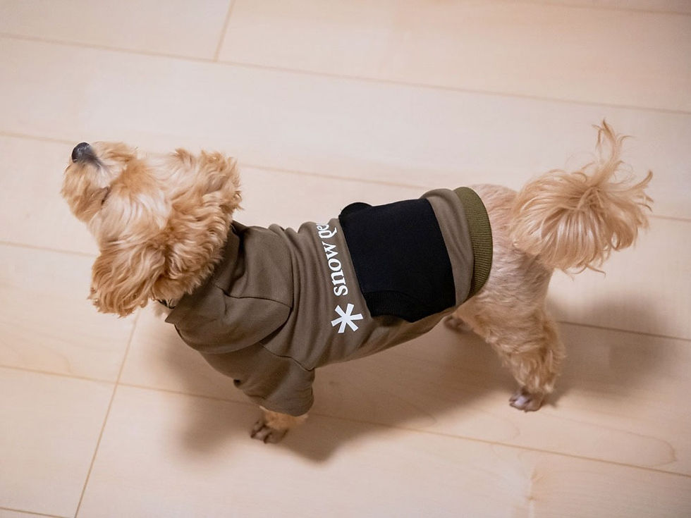 Thumbnail: SP Dog Parka Landbreeze