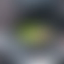 เมนูเห็ดและต้นหอมญี่ปุ่นง่ายๆอร่อยขึ้นได้ด้วยหม้อเตาอบเหล็กหล่อจาก Snow Peak