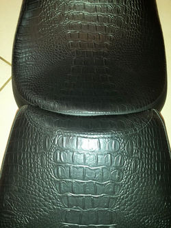 11129247_10155443141405494_138348090906531155_n