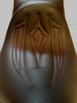 13220873_10156912474565494_1345395056437121238_n