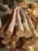 WhatsApp Image 2023-06-19 at 09.10.36.jpeg