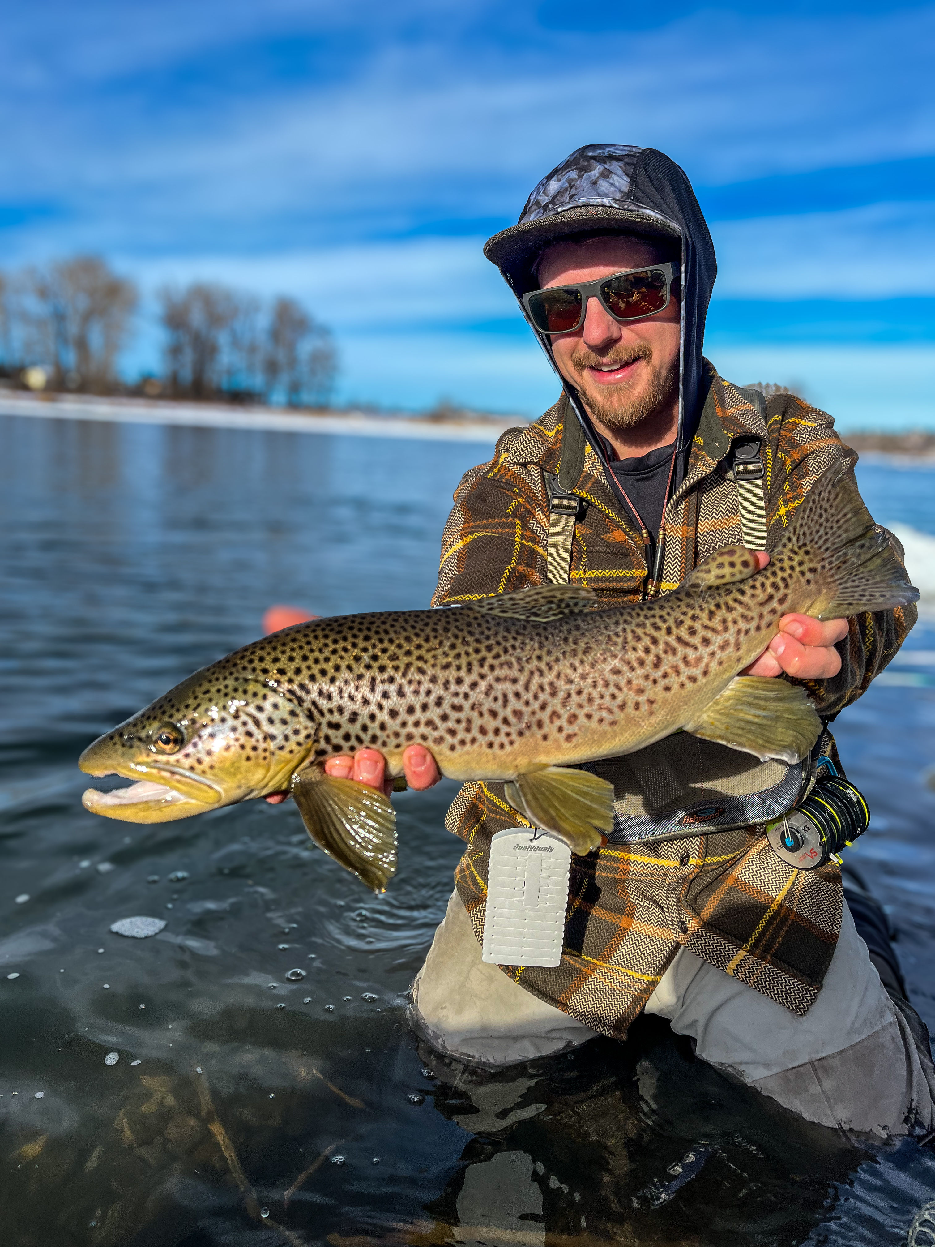 Winter Brown Fly Fishing Brown trout
