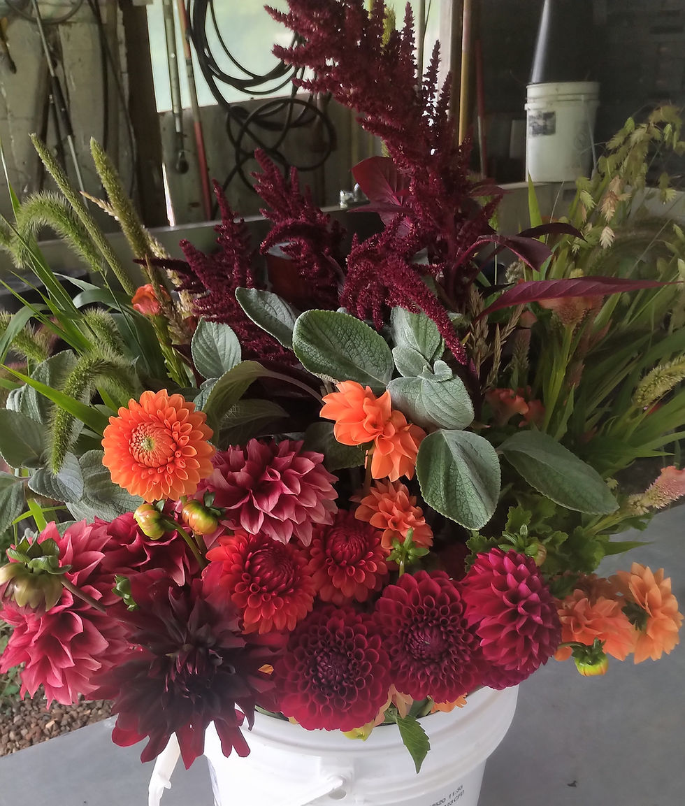 Thumbnail: Grower's Choice