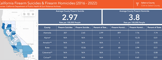 homicide and suicide application.png