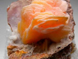 Wulfenite for communing with nature ❤️