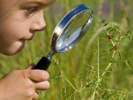 Observation Mode