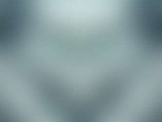 the Great Snowy Owl consciousness