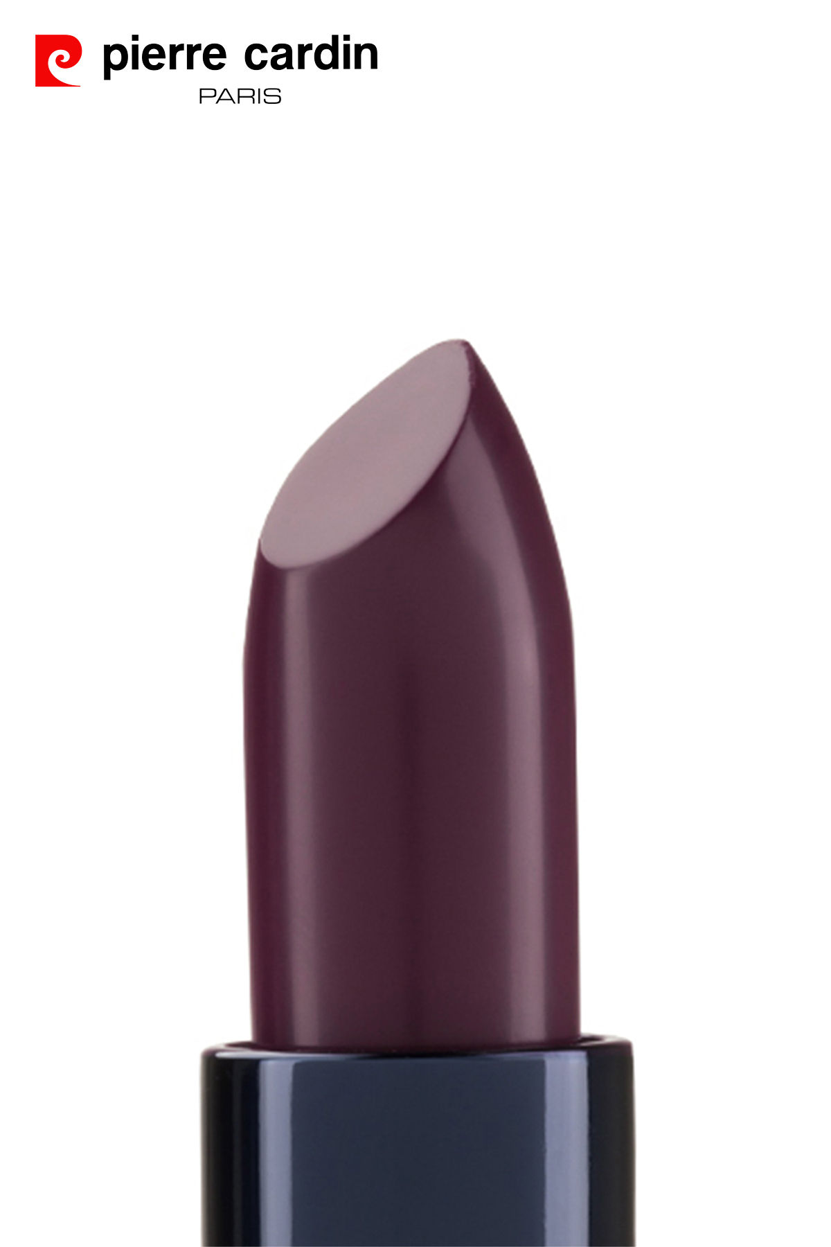 Pierre Cardin Matte Rouge Mat Ruj - Tempting Violet