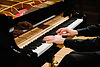 DSC06131.jpg