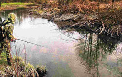 Фальварак "У Рыся"