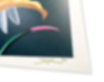 Thumbnail: The Egret