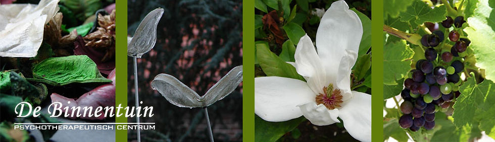 banner2.jpg