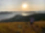 IMG_3452.jpeg