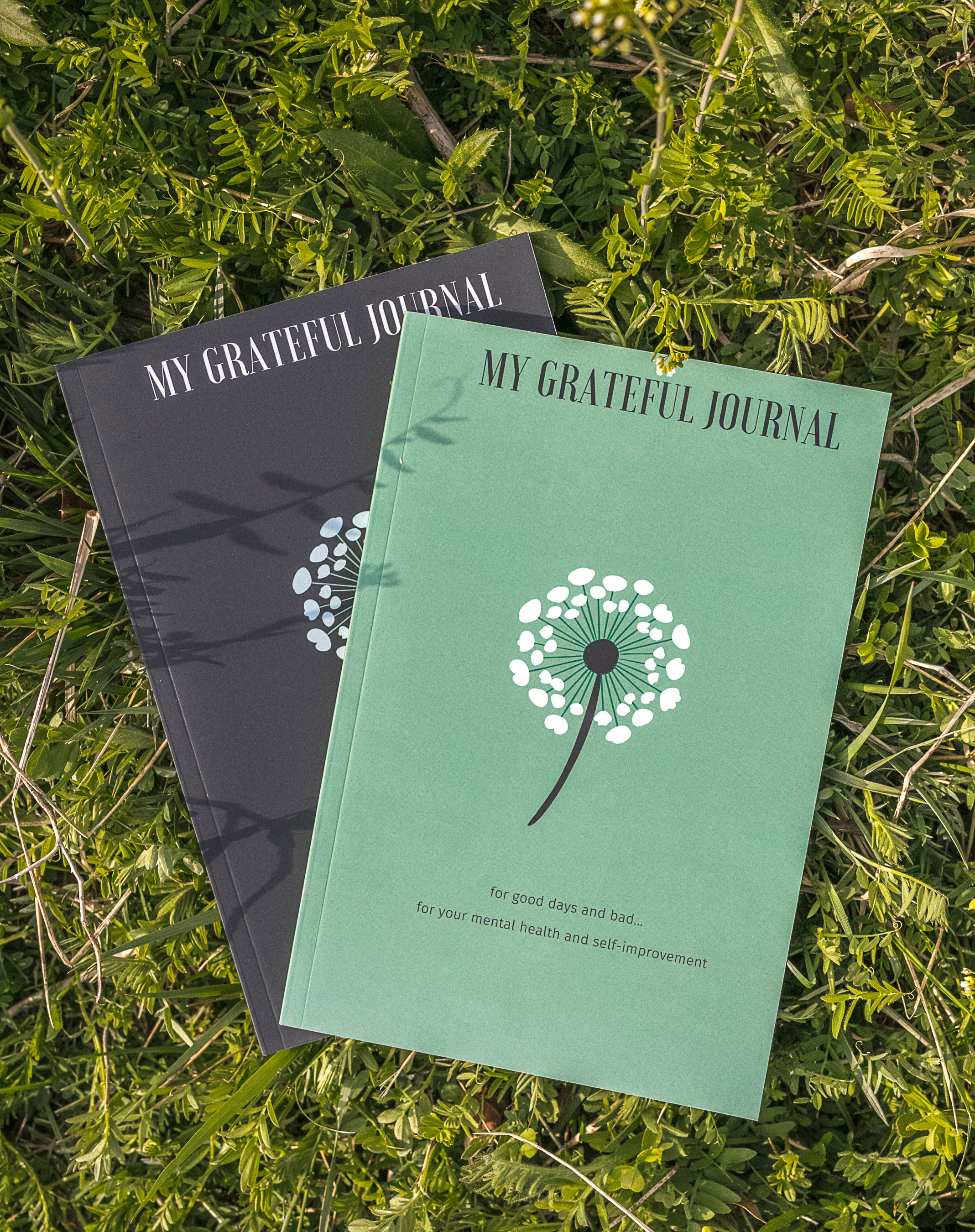 My Grateful Journal...for good days and bad