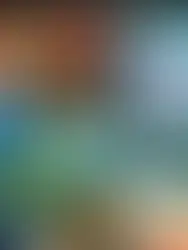 The cover of X-Men: Divided We Stand # 1