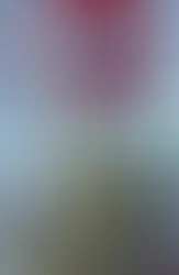 247: House of M Begins