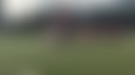 Esfuerzo y sacrificio hacen rugir al León