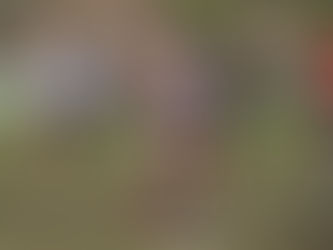 Regresa el Torneo Nacional Legacy 2016