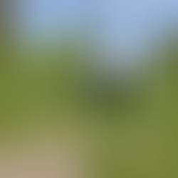 Já fez a sua reserva?