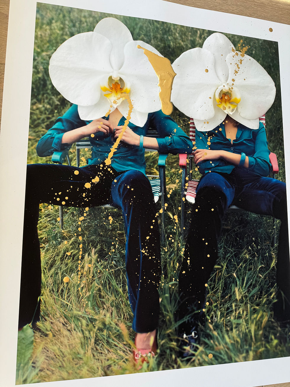Thumbnail: Sitting Pretty, Golden , 2024