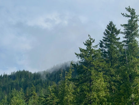 Yes, We Can Build an EcoHome on Your Land in BC