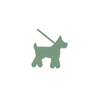socialisation-chien.png