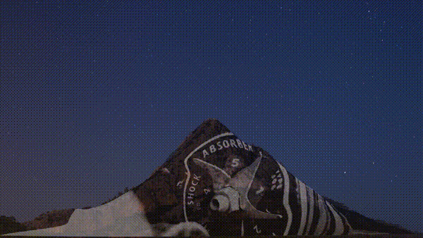 p1 (1).gif
